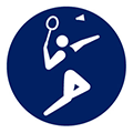 icon:羽毛球