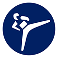 icon:跆拳道