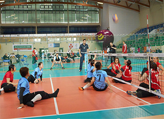 playing view（Elblag Cup 2015）